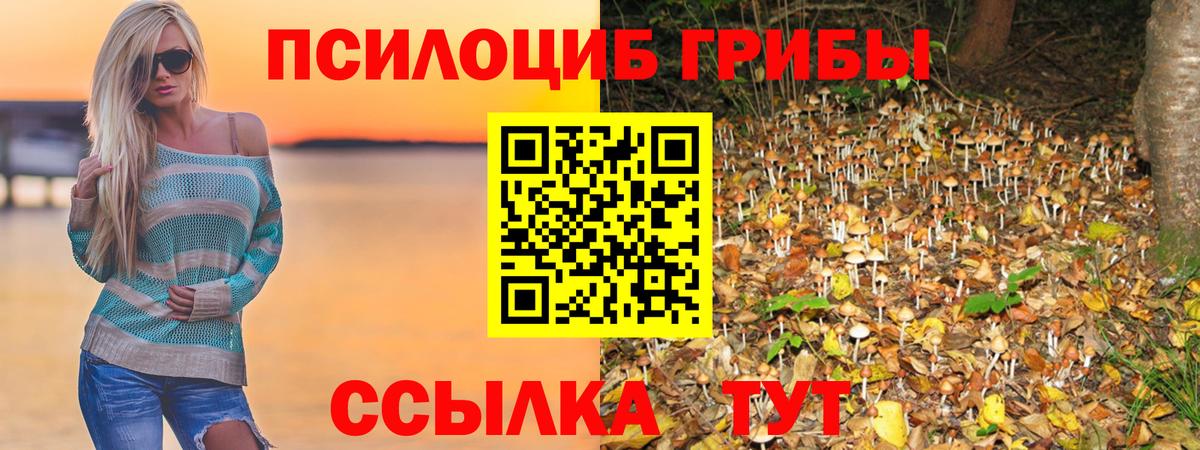 Псилоцибиновые грибы MAGIC MUSHROOMS  Галлюциногенные грибы Magic Shrooms  Зерноград  сколько стоит  Вход с VPN 